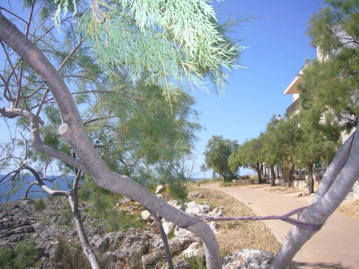 Holiday Home Randemar سيلوت المظهر الخارجي الصورة