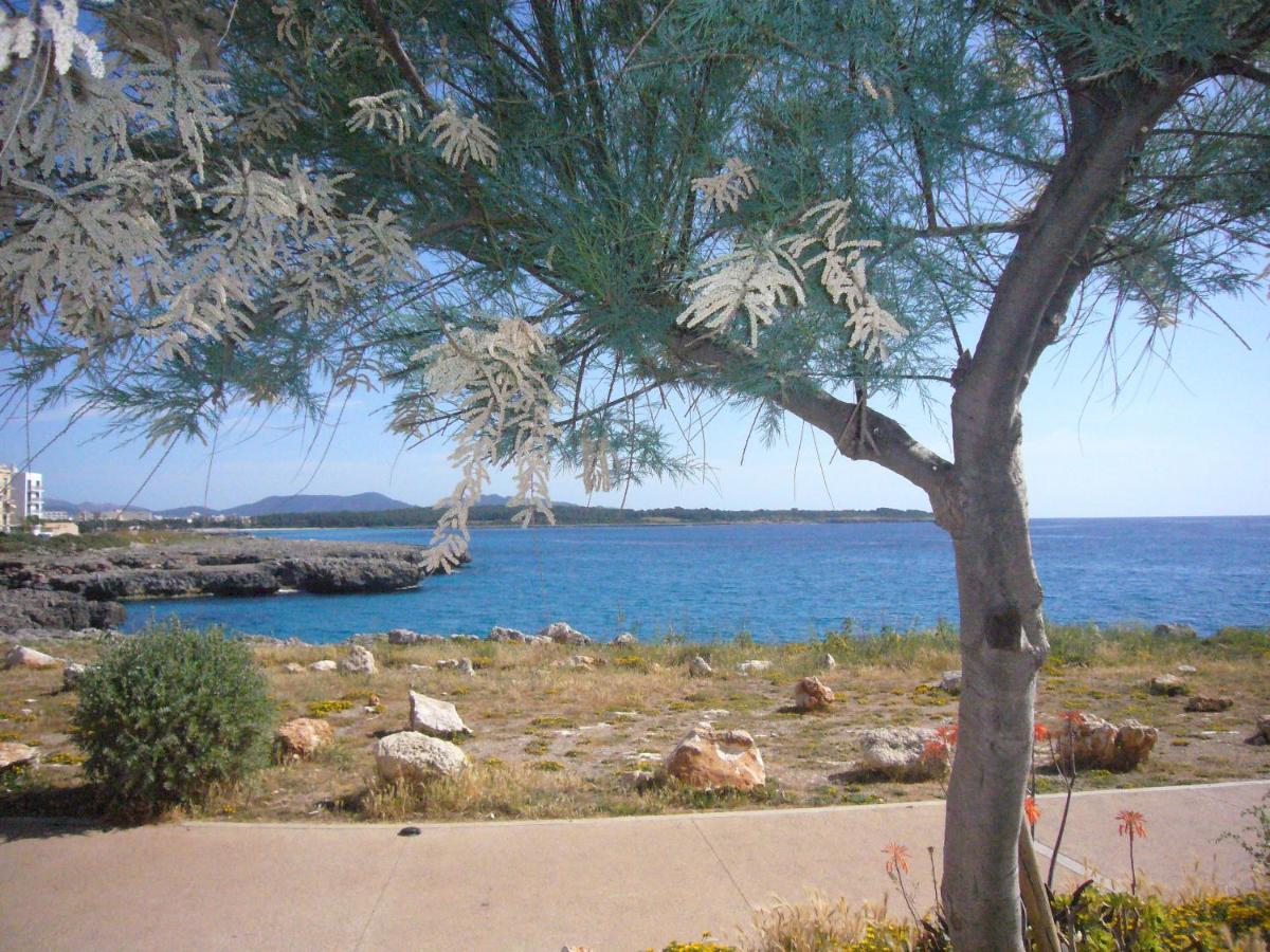 Holiday Home Randemar سيلوت المظهر الخارجي الصورة